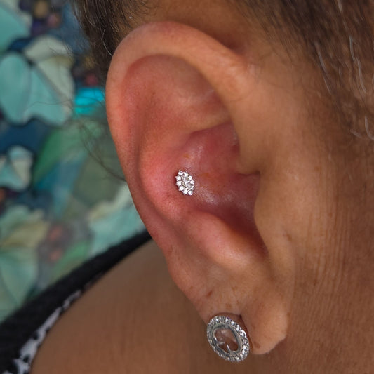 Conch Piercing