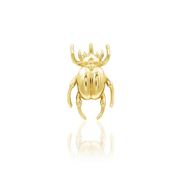 Rhino Beetle